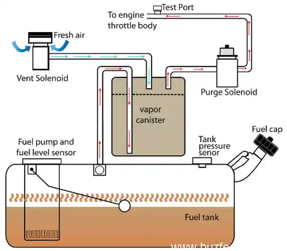 how toyota evap system works